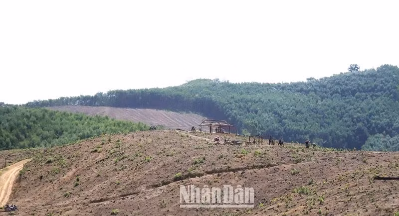 Trên địa bàn tỉnh Đắk Lắk sẽ có 169,43 ha rừng được chuyển đổi sang mục khách khác để thực hiện Dự án đầu tư xây dựng đường bộ cao tốc Khánh Hòa-Buôn Ma Thuột giai đoạn I.