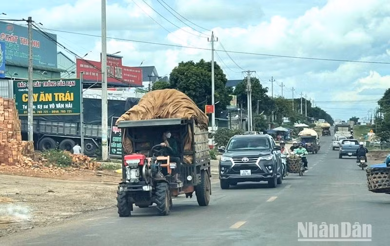 Vào thời điểm cuối năm, trên các tuyến đường ở tỉnh Đắk Lắk, các loại xe cày độ chế không bảo đảm an toàn kỹ thuật vận chuyển nông sản tham gia giao thông rất dễ gây tai nạn giao thông.