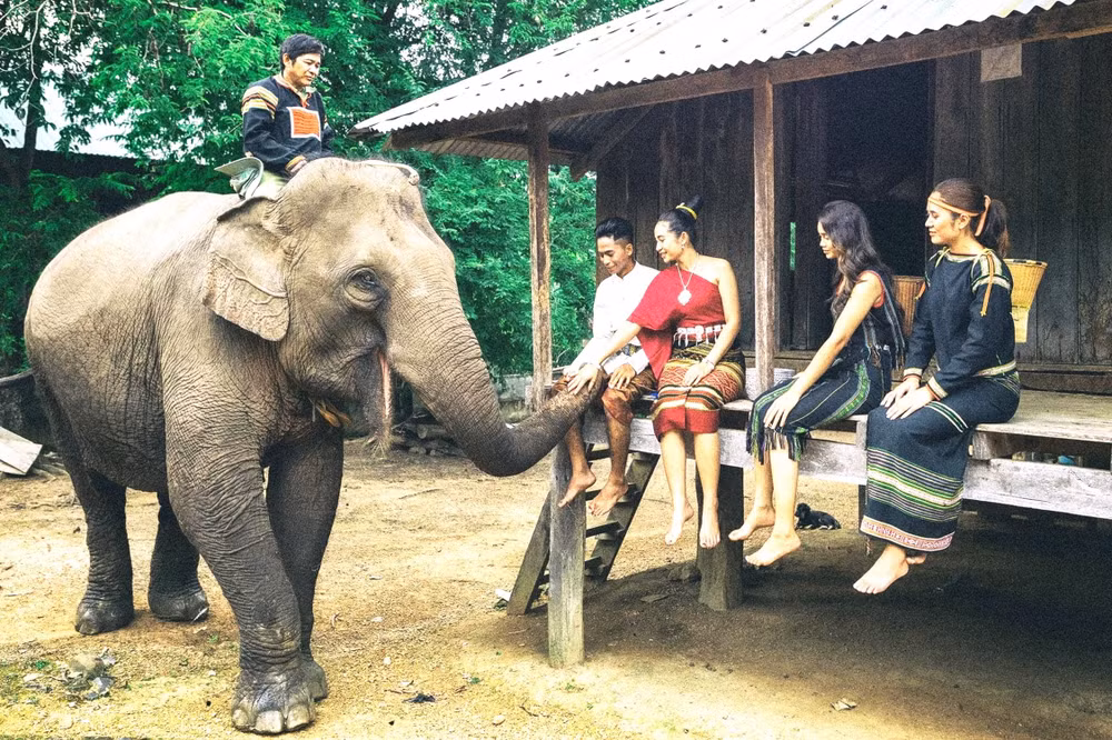 Du lịch thân thiện với voi, góp phần bảo tồn đàn voi nhà ở Đắk Lắk là hết sức cần thiết và cấp bách, nhưng việc chuyển đổi mô hình từ du lịch cưỡi voi sang du lịch thân thiện với voi còn chậm. (Ảnh: CTV)