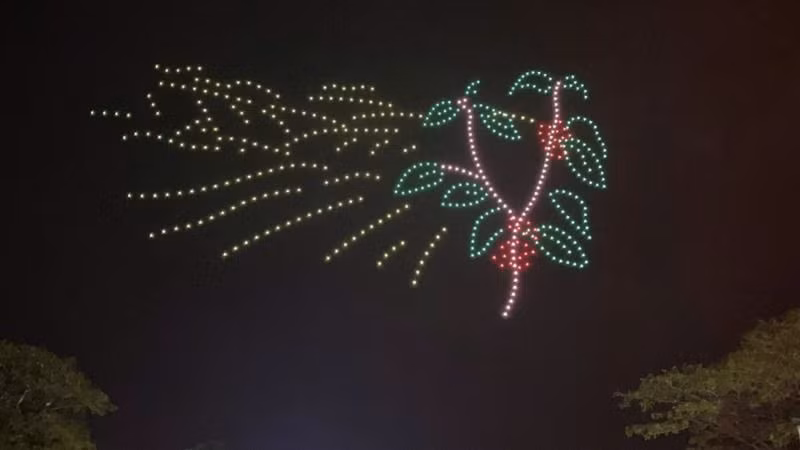 Drone xếp hình cây cà-phê. Drone xếp hình cây cà-phê.