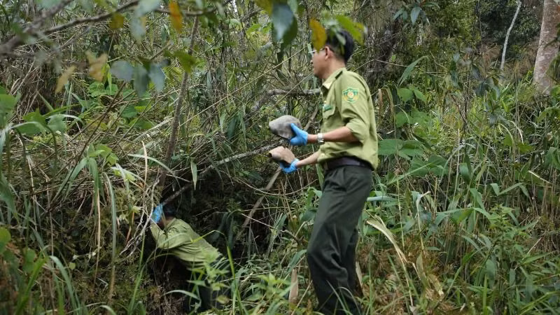 Thả Rùa vàng về với tự nhiên. Thả Rùa vàng về với tự nhiên.