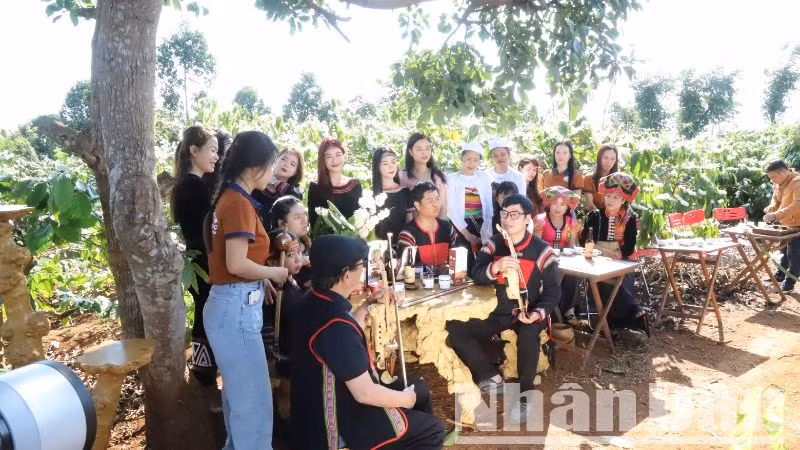 Đến với Lễ hội Cà-phê Buôn Ma Thuột lần thứ 9 năm 2025, du khách sẽ được thưởng thức cà-phê miễn phí ngay tại vườn cà-phê lộng gió.