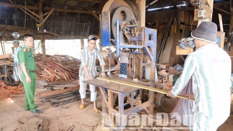 Các phạm nhân ở Trại giam Đắk Trung được học nghề mộc. Các phạm nhân ở Trại giam Đắk Trung được học nghề mộc.