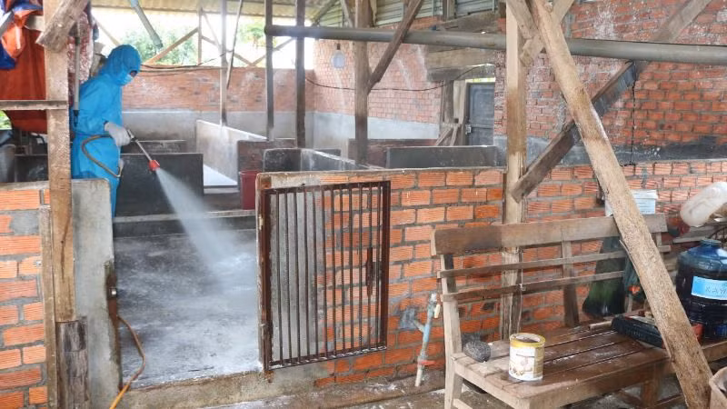 Các cơ quan chức năng ở Đắk Lắk phun hóa chất xử lý môi trường phòng, chống dịch bệnh cho đàn gia súc.