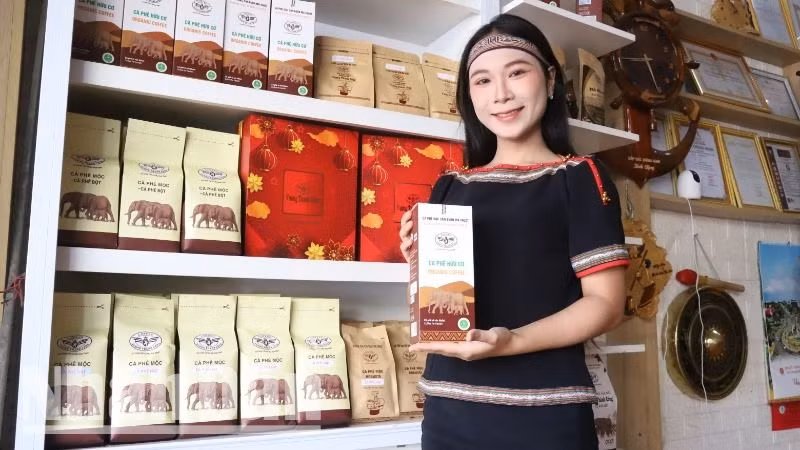 Và người kinh doanh cà-phê ở Đắk Lắk cũng rất vui mừng. Và người kinh doanh cà-phê ở Đắk Lắk cũng rất vui mừng.