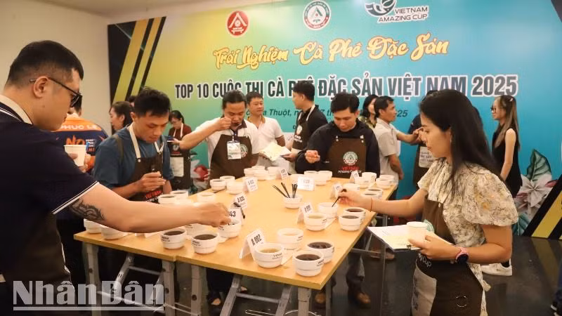 Những người yêu thích cà-phê đặc sản trải nghiệm Top 10 Cuộc thi cà-phê đặc sản Việt Nam 2025.
