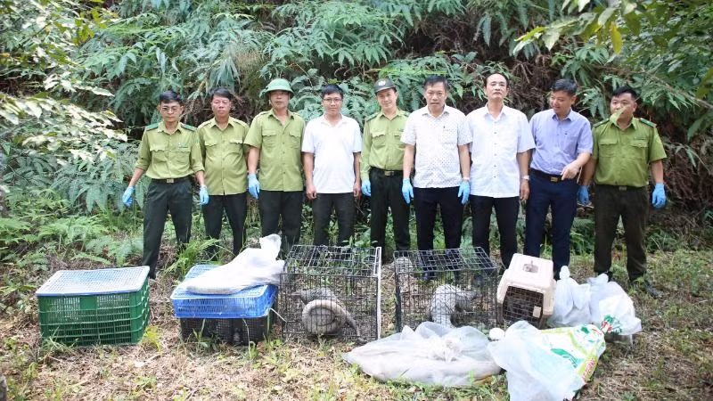 Lực lượng kiểm lâm và các đơn vị trước khi thả các cá thể động vật hoang dã về với tự nhiên tại Vườn quốc gia Chư Yang Sin. Lực lượng kiểm lâm và các đơn vị trước khi thả các cá thể động vật hoang dã về với tự nhiên tại Vườn quốc gia Chư Yang Sin.