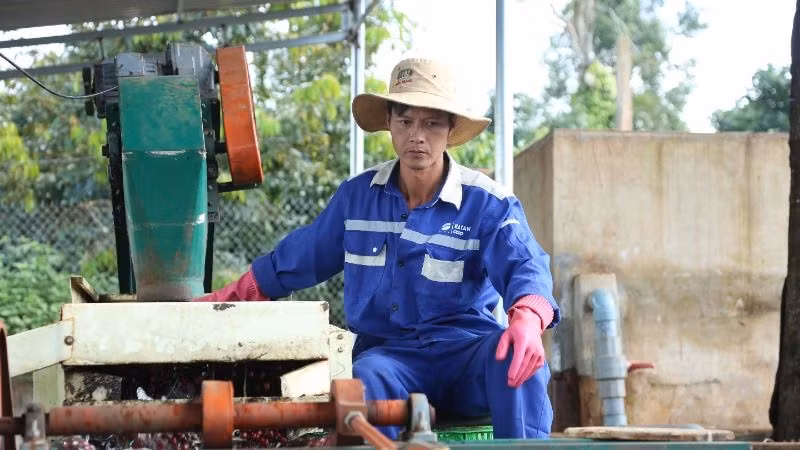 Vì vậy, Đắk Lắk cần đẩy mạnh phát triển nông nghiệp tuần hoàn đa dạng, phong phú về hình thức, quy mô để nâng cao hiệu quả sản xuất. Vì vậy, Đắk Lắk cần đẩy mạnh phát triển nông nghiệp tuần hoàn đa dạng, phong phú về hình thức, quy mô để nâng cao hiệu quả sản xuất.
