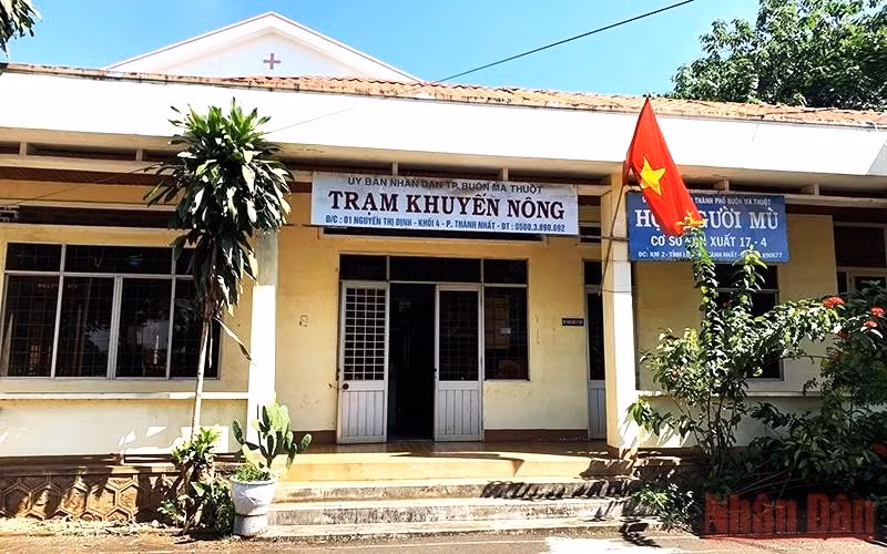Trạm Khuyến nông thành phố Buôn Ma Thuột, nơi xảy ra các sai phạm. Trạm Khuyến nông thành phố Buôn Ma Thuột, nơi xảy ra các sai phạm.
