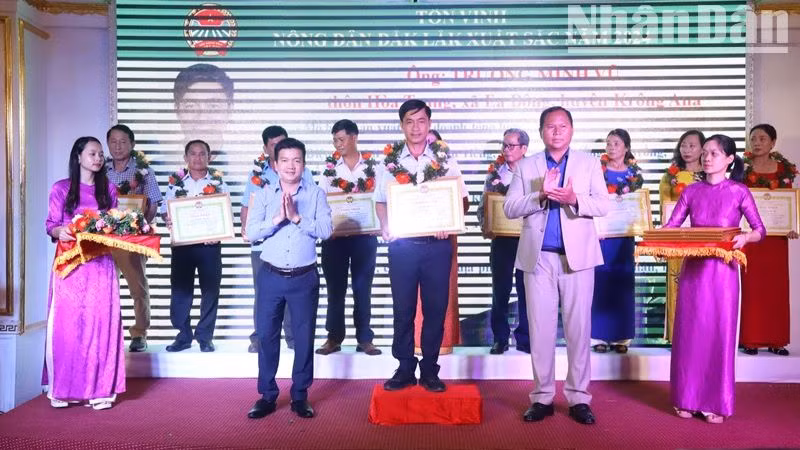 Lãnh đạo Ban Dân vận Tỉnh ủy và Hội Nông dân tỉnh Đắk Lắk trao giấy chứng nhận tôn vinh các nông dân xuất sắc.