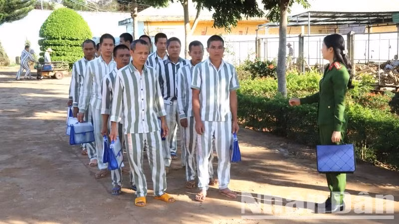Công tác quản lý, giáo dục, cải tạo phạm nhân ở Trại giam Đắk Trung không ngừng được nâng cao, giúp các phạm nhân cải tạo tốt, sớm trở về hòa nhập với gia đình và xã hội. Công tác quản lý, giáo dục, cải tạo phạm nhân ở Trại giam Đắk Trung không ngừng được nâng cao, giúp các phạm nhân cải tạo tốt, sớm trở về hòa nhập với gia đình và xã hội.