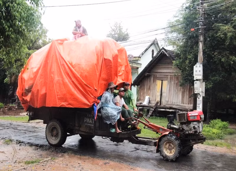 Tình trạng xe máy cày chở nông sản quá tải và quá khổ lưu thông trên đường giao thông nông thôn rất dễ gây tai nạn giao thông. (Ảnh: Phòng Cảnh sát giao thông)