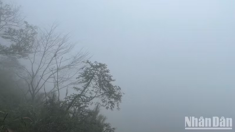 (Ảnh minh họa: Đ.T)