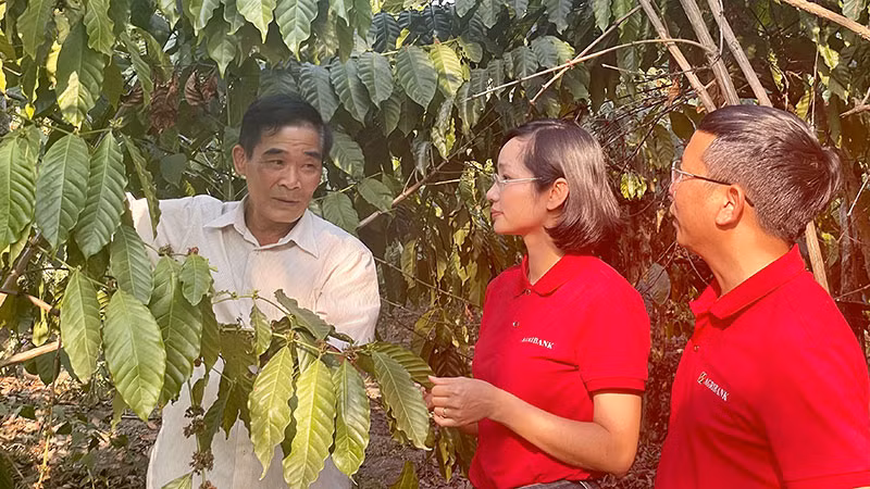 Ông Nguyễn Văn Thành (thôn Ngọc Thư, xã Đắk Xú, huyện Ngọc Hồi, tỉnh Kon Tum) vay vốn Agribank để phát triển kinh tế.