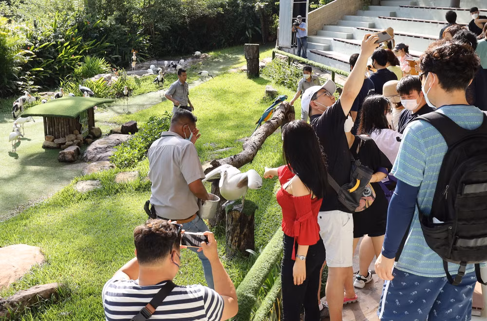Du khách Hàn Quốc tham quan Vinpearl Safari Phú Quốc. (Ảnh: VIẾT CHUNG) Du khách Hàn Quốc tham quan Vinpearl Safari Phú Quốc. (Ảnh: VIẾT CHUNG)