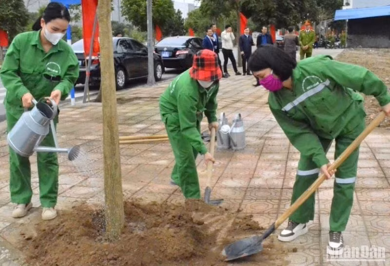 Tỉnh Thái Bình yêu cầu việc trồng cây, trồng rừng phù hợp điều kiện thực tế, không phô trương hình thức. Tỉnh Thái Bình yêu cầu việc trồng cây, trồng rừng phù hợp điều kiện thực tế, không phô trương hình thức.
