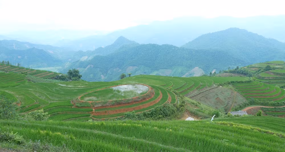Bí thư Chi bộ Lù A Dờ và các "công trình" ruộng bậc thang phát triển kinh tế và thu hút du lịch.
