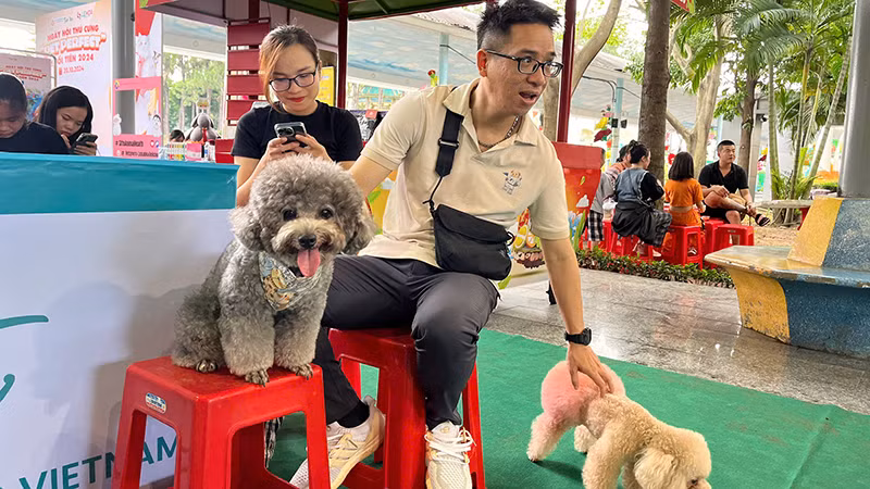 Ngày hội có nhiều hoạt động dành cho thú cưng. Ngày hội có nhiều hoạt động dành cho thú cưng.