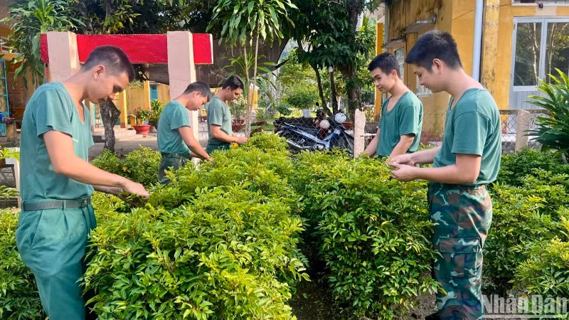 Ngoài giờ công tác, các chiến sĩ trên đảo Thổ Chu tích cực tăng gia sản xuất để nâng cao chất lượng bữa ăn cho đơn vị. Ngoài giờ công tác, các chiến sĩ trên đảo Thổ Chu tích cực tăng gia sản xuất để nâng cao chất lượng bữa ăn cho đơn vị.
