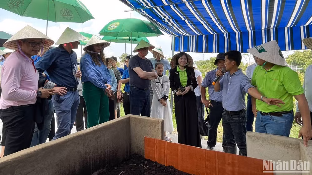 Đại diện các tổ chức giáo dục, nông nghiệp trong và ngoài nước tham quan mô hình vườn xanh cộng đồng. Đại diện các tổ chức giáo dục, nông nghiệp trong và ngoài nước tham quan mô hình vườn xanh cộng đồng.
