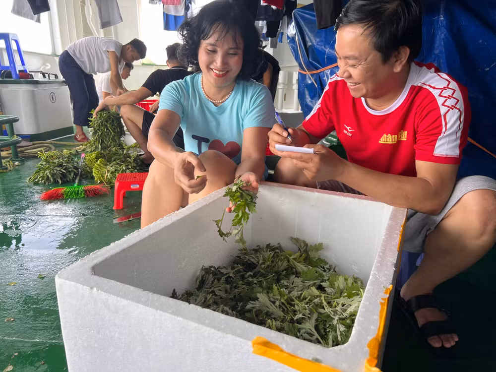 Phóng viên Báo Nhân Dân phỏng vấn một công dân lần đầu tiên ra thăm quần đảo Trường Sa. Phóng viên Báo Nhân Dân phỏng vấn một công dân lần đầu tiên ra thăm quần đảo Trường Sa.