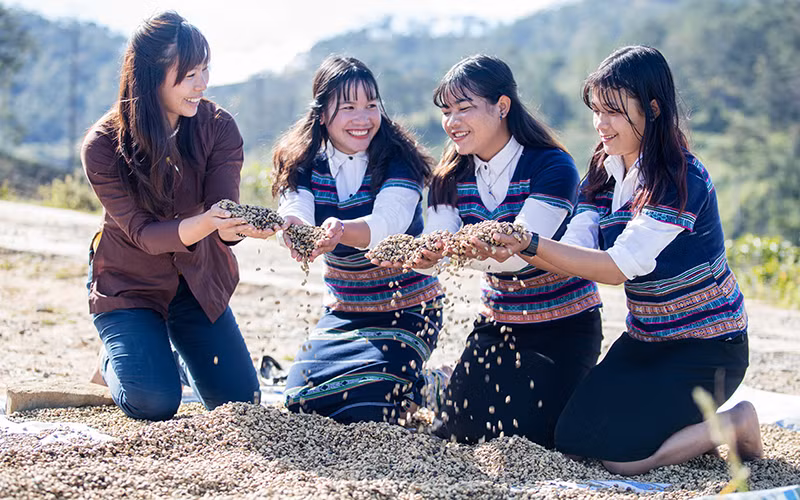 Niềm vui mùa cà-phê bội thu. Niềm vui mùa cà-phê bội thu.