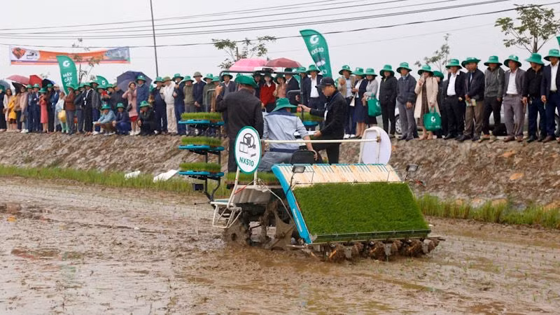 Trình diễn máy cấy trên cánh đồng thuộc xã Yên Thắng (Yên Mô, Ninh Bình) trong Ngày hội công nghệ Globalcheck. (Ảnh: XUÂN TRƯỜNG)