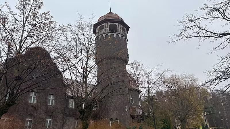 Kaliningrad là một thành phố "xanh" với nhiều công viên và khu vực có nhiều cây xanh và bãi cỏ. Các công viên bao gồm từ quảng trường thành phố nhỏ đến công viên lớn.