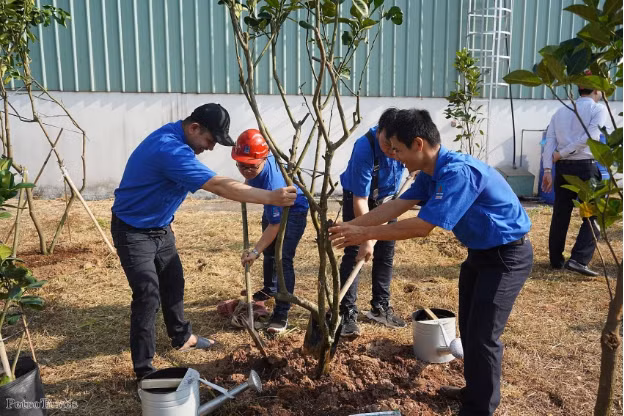 Chương trình trồng 300.000 cây xanh trong toàn Tổng công ty giai đoạn 2022-2025