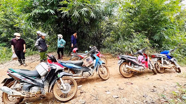 Phút nghỉ ngơi giữa rừng. Phút nghỉ ngơi giữa rừng.