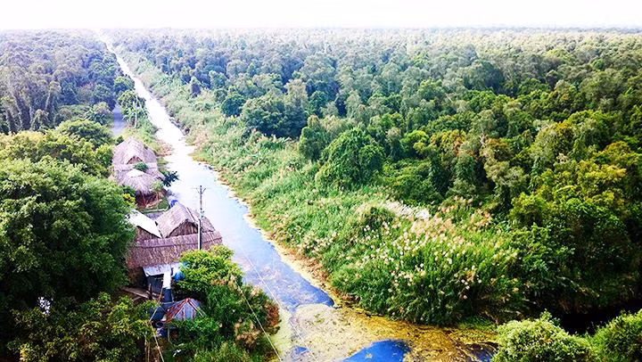 Nhớ rừng U Minh Hạ