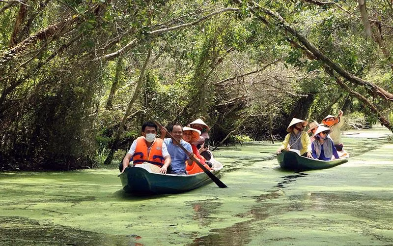 Rừng tràm tại khu du lịch sinh thái làng nổi Tân Lập, huyện Mộc Hóa, tỉnh Long An. (Ảnh THANH BÌNH)