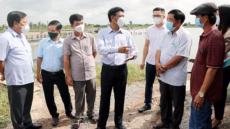 Bí thư Tỉnh ủy Sóc Trăng Lâm Văn Mẫn (thứ tư từ trái sang) thị sát vùng nuôi tôm công nghiệp công nghệ cao của tỉnh Sóc Trăng.