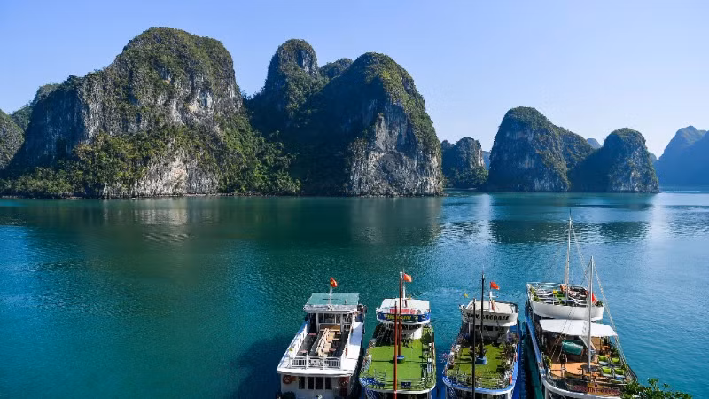 Ảnh minh họa: THÀNH ĐẠT