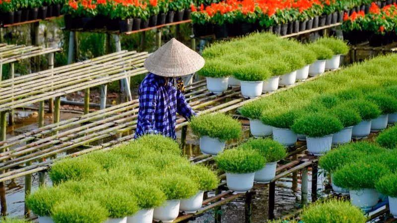 Du lịch gắn với nông thôn mới, nâng cao thu nhập người dân