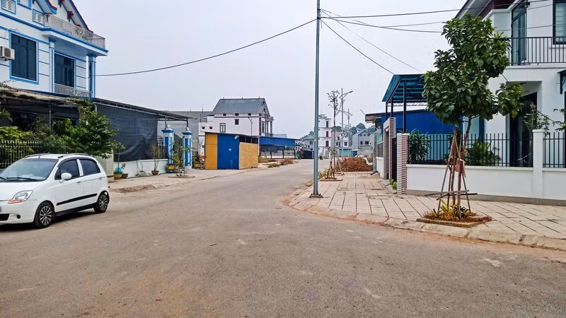 Người dân khu tái định cư phường Tân Hương tự trồng cây xanh.