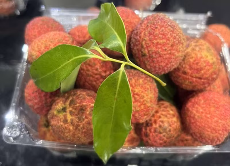 Vải chín có màu đỏ rực, cùi giòn, vị ngọt nhẹ, thanh với đặc điểm không hạt phù hợp với người tiêu dùng Anh.