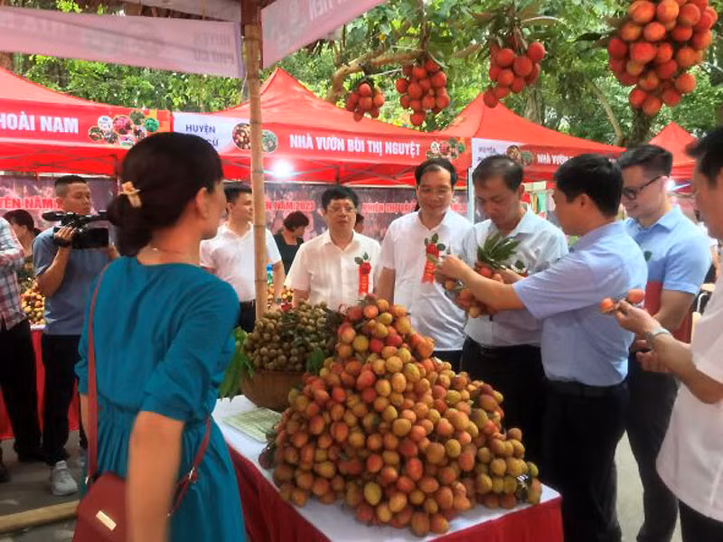 Nông nghiệp Hưng Yên hướng tới sản xuất hàng hóa theo chuỗi giá trị, hiệu quả và an toàn 