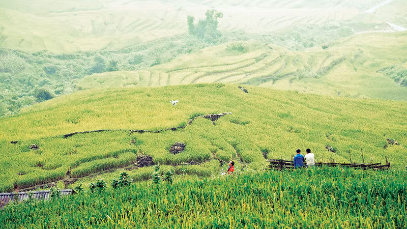Khung cảnh thơ mộng thu hút du khách. Khung cảnh thơ mộng thu hút du khách.