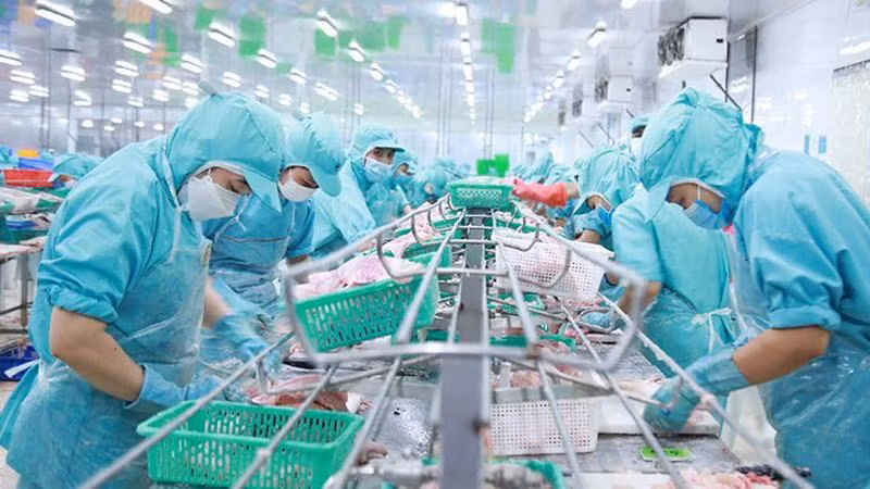 Lao động tại Công ty Sao Mai (Ảnh minh họa: nhandan.vn).