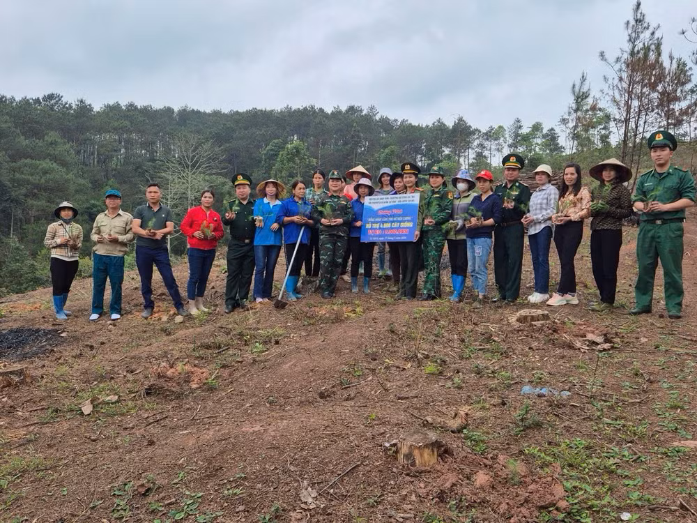 Thiếu tá Trần Thị Bích Thảo tham gia dự án "10.000 cây giống hồi quế hỗ trợ phụ nữ vùng biên”.
