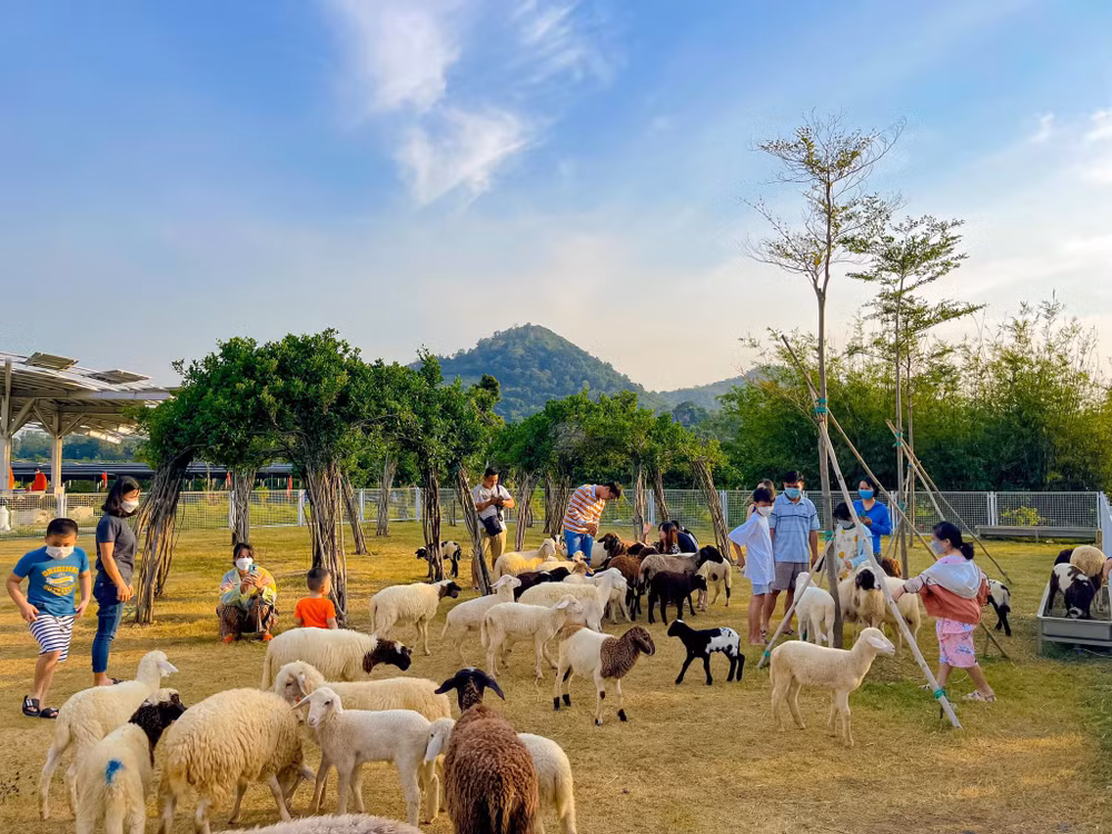 “Ghi điểm” với du lịch thân thiện. “Ghi điểm” với du lịch thân thiện.