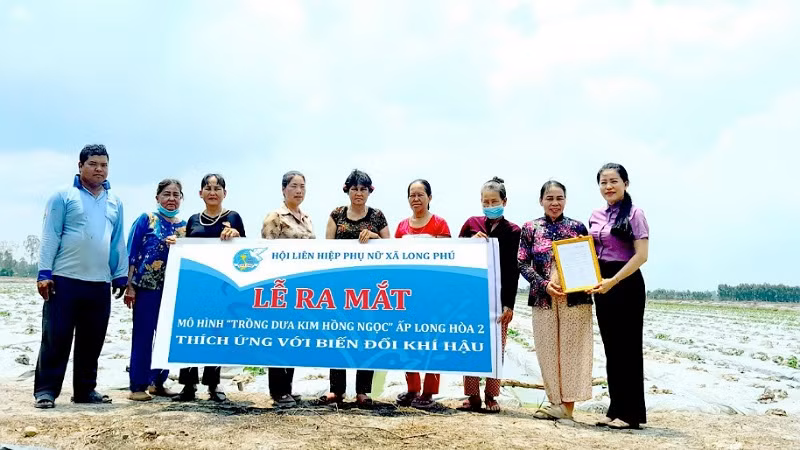 Lễ ra mắt mô hình trồng dưa Kim Hồng Ngọc của bà Trần Thị Liễu. 