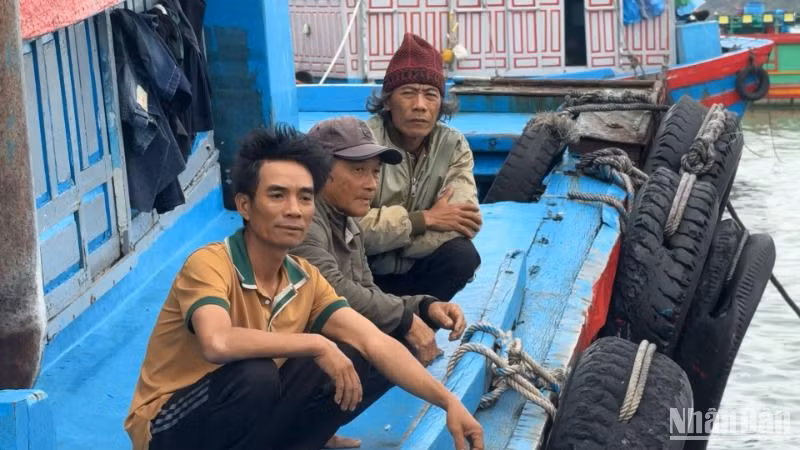 3 ngư dân Quảng Ngãi bị chìm tàu cá khi hành nghề trên biển được đưa vào bờ an toàn.