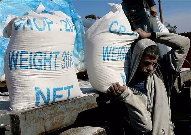 Người dân Palestine nhận lương thực viện trợ nhân đạo tại trại tị nạn ở Rafah, miền Nam Dải Gaza, giáp giới với Ai Cập. (Ảnh: AFP/TTXVN)