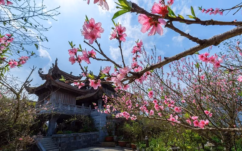 Một góc quần thể văn hóa tâm linh Fansipan rực rỡ vào xuân. Một góc quần thể văn hóa tâm linh Fansipan rực rỡ vào xuân.