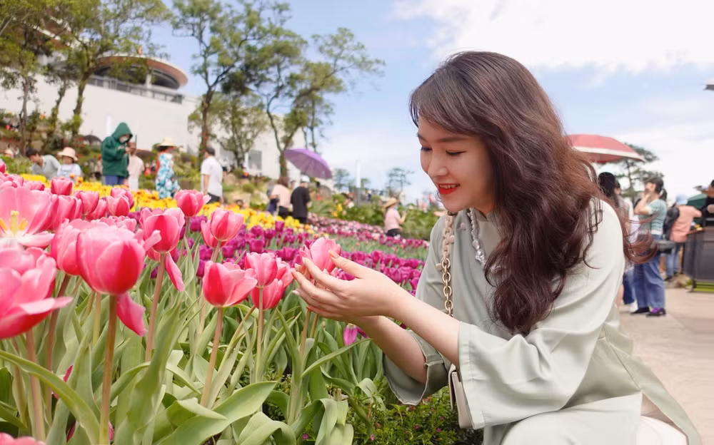 Du khách không khỏi "cầm lòng" trước vẻ đẹp của hoa tulip. Du khách không khỏi "cầm lòng" trước vẻ đẹp của hoa tulip.