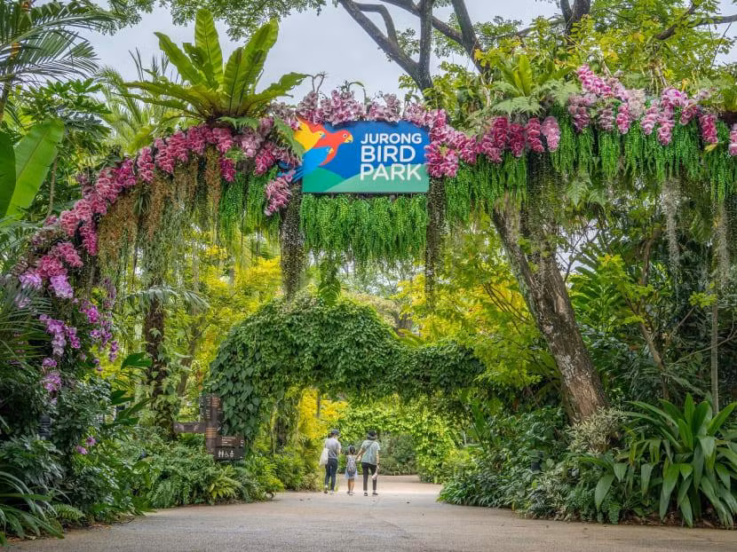 Vườn chim Jurong sẽ đóng cửa vào đầu năm 2023. (Ảnh: CNA)