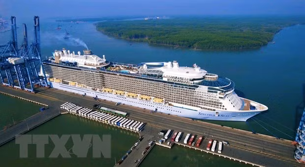 Tàu Spectrum of the Seas cập cảng Tân Cảng-Cái Mép thuộc thị xã Phú Mỹ, tỉnh Bà Rịa-Vũng Tàu. (Ảnh: TTXVN)