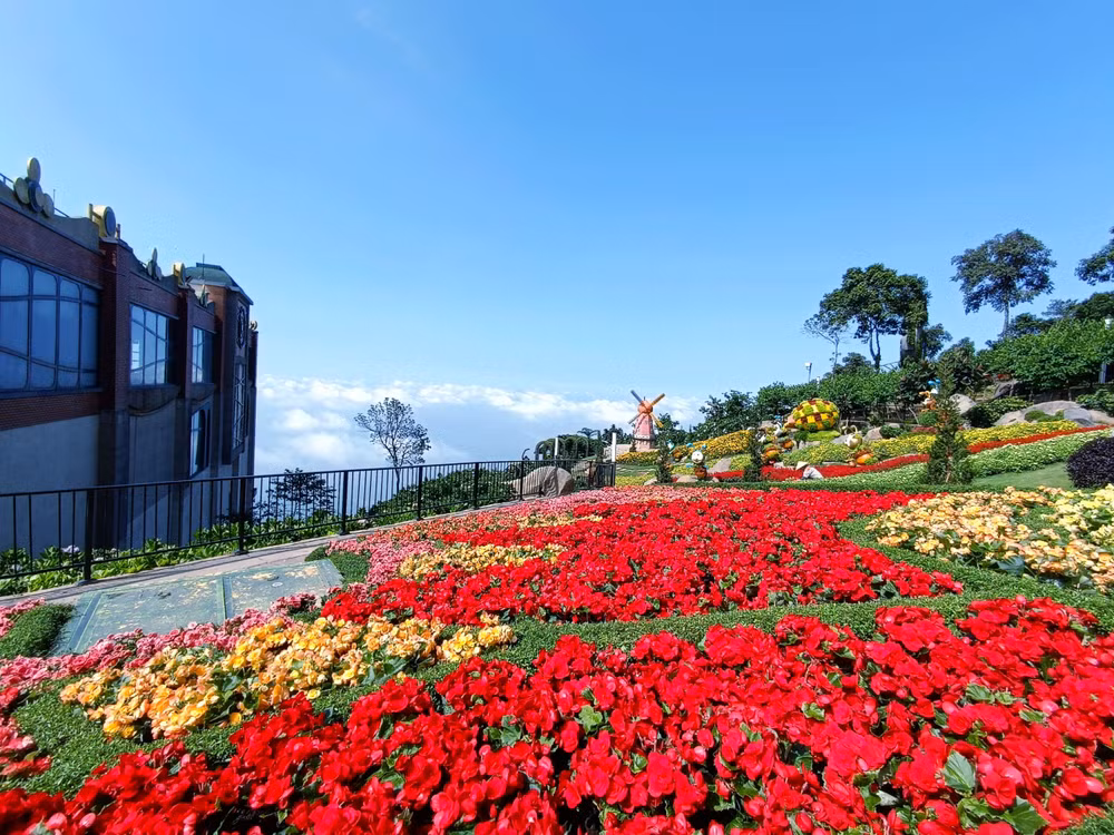 Sun World Ba Den Mountain đẹp tựa miền tiên cảnh với hơn 50.000 gốc hoa. (Ảnh: Sun World Ba Den Mountain)
